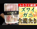 年末におすすめ『ずわい蟹』を徹底レビュー(福井県敦賀市のふるさと納税返礼品)