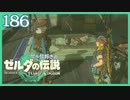 #186【ゼルダの伝説ティアーズオブザキングダム】ちょっと世界を翔けてくる【実況プレイ】