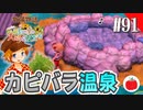 【実況】牧場物語３つの里の大切な友達を初見で遊ぶいも【#91】