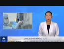 SMIC第3四半期の利益 急落