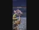 モンスターハンターNOW パオウルムー　★5