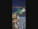 モンスターハンターNOW プケプケ　★4