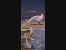 モンスターハンターNOW パオウルムー　★3