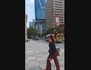 かめさんぽ～ブリスベンコアラ編～