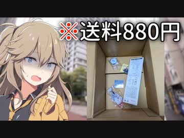 ガバガバどころかスカスカ 覇謙グッズの末路