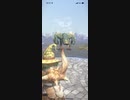モンスターハンターNOW プケプケ　★4