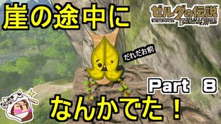 崖の途中になんか出た【ゼルダの伝説 ブレス オブ ザ ワイルド】PART 8