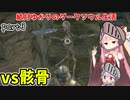 ダークソウラーゆかり　part3