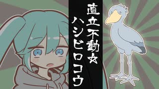 直立不動☆ハシビロコウ/初音ミク【vocaloid】