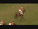2011 東京スポーツ杯２歳Ｓ(GIII)　ディープブリランテ