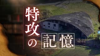 戦闘機２機が入る掩体壕「残ったひとつを守りたい」　このままではいずれ潰れてしまう戦争遺跡をクラファンで保存めざす