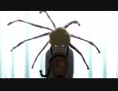 SHYをとりもどせ!!
