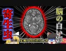 【2019年】謎の頭痛・睾丸の腫れ・精神錯乱…恐ろしい症状で病院に運ばれた少年 脳が寄生虫だらけになり4亡 原因は生焼けの豚？『インド嚢虫症4亡事故』【ゆっくり解説】