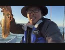 【３時ニコ生録画】2023/11/14 02:00 ドライブ＆カヤック釣り配信