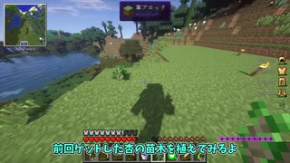 【Minecraft】闇鍋クラフト #5 【ゆっくり実況】