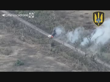 ホモと見る次々産み落とされるロシア兵たち2