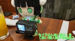 セイカさんぬい耐久１分【第3.5回人間off前夜祭】