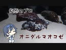 つづみの10秒おさかな解説#15　オニダルマオコゼ