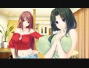 姉ちゃんのススメ ～お姉ちゃんのイタズラ性生活～　プレイ動画　パート6