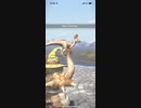 モンスターハンターNOW クルルヤック　★4