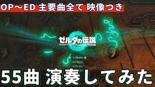 主要曲５５全て演奏してみた『ゼルダの伝説　ティアーズ オブ ザ キングダム』BGM・映像あり