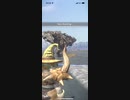 モンスターハンターNOW ボルボロス　★4