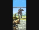 モンスターハンターNOW アンジャナフ　★4