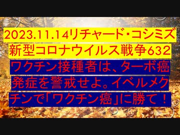 2023.11.13リチャード・コシミズ新型コロナウイルス戦争６３２