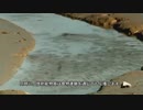 #nuclear（保护海洋共同家园，立刻停止排放福岛核污水）
