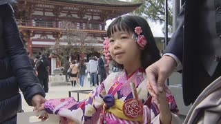 華やかな着物や袴姿の子供が集う、太宰府天満宮で「七五三」祭りが始まる