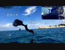 【３時カヤックフィッシング】巨大ダイオウイカに墨をブッカケられる【そうなのぉ？】