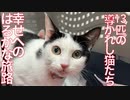 13匹の導かれし猫たち、全て幸せに巣立つ