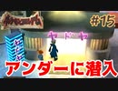 アンダーに潜入！ヤドンに見える高額宿屋【ポケモンコロシアム】＃１５