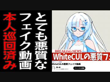 目的のわからない悪質フェイク動画を拡散される雪さん