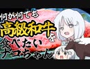 【MV】何が何でも高級和牛を食べたいナコちゃん【COEIROINK投稿祭2023】