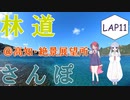【COEIROINK車載】林道さんぽ＠足摺絶景展望所【セロー】