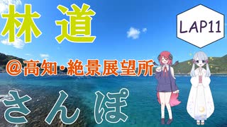 【COEIROINK車載】林道さんぽ＠足摺絶景展望所【セロー】