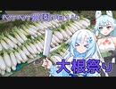 2023年11月15日　農作業日誌P814　大量の大根の出荷作業をして売りに出してみた