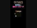必死な時こそ愛のメッセージ