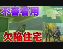 村に不審者が居つくようです【ゼルダの伝説 ティアーズ オブ ザ キングダム】#151