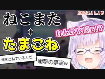 "ねこまた"を逆から読むと"たまこね"になる事を知ってしまったおかゆん