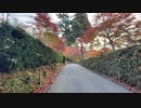 世界遺産平泉　中尊寺の紅葉の様子　2023　1111