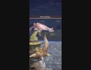 モンスターハンターNOW パオウルムー　★4