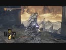 【ダークソウル3】蝶が本体【23-5回目】