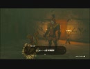 【ゼルダの伝説 ティアーズ オブ ザ キングダム】再びハイラルを救うまで【実況】 part155