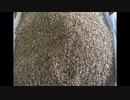 スパイクタンパク トップ10の解毒剤