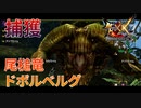 【実況】ぼっちハンターが行く！モンスターハンターXX第66回