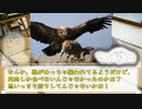 2023新作3【ゆっくり解説】やる夫で学ぶ巨大生物23【最大の鳥】