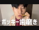 ポッキーの日の1日ルーティン
