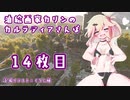 【Mount & Blade II Bannerlord】油絵画家カリンのカルラディアさんぽ14枚目
